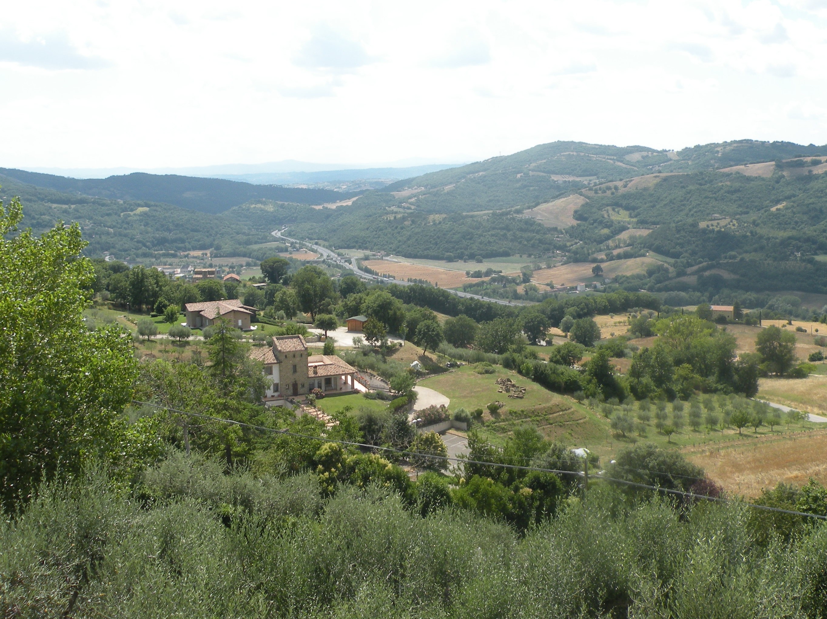 Vista panoramica